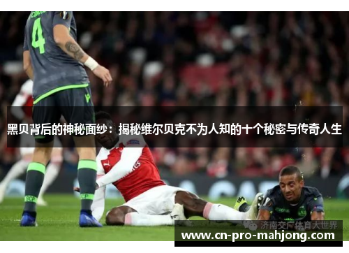 黑贝背后的神秘面纱：揭秘维尔贝克不为人知的十个秘密与传奇人生